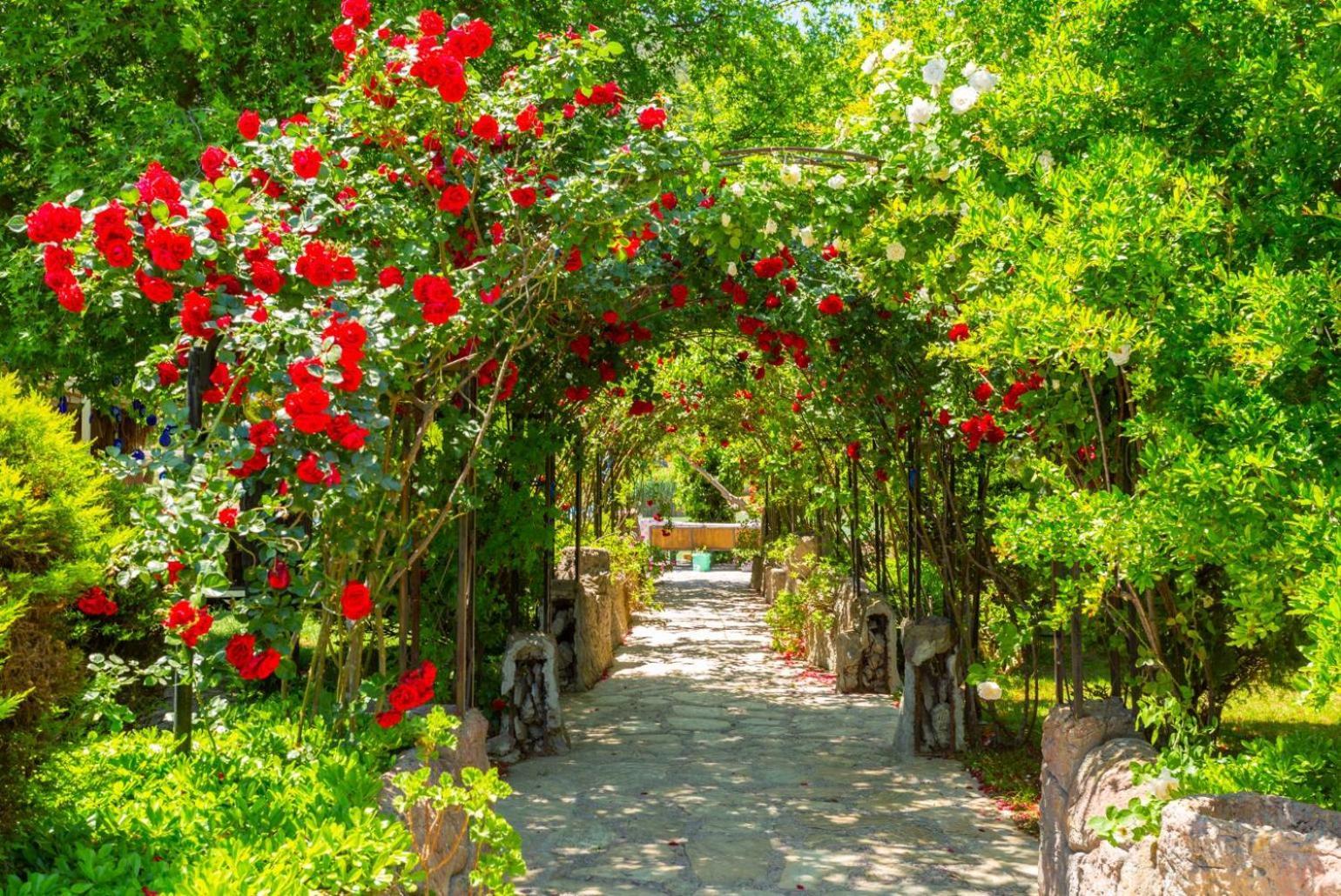 Villa Elmas Paradise ダルヤン エクステリア 写真